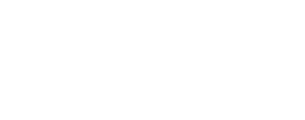 Welsh Government Funded logo in white