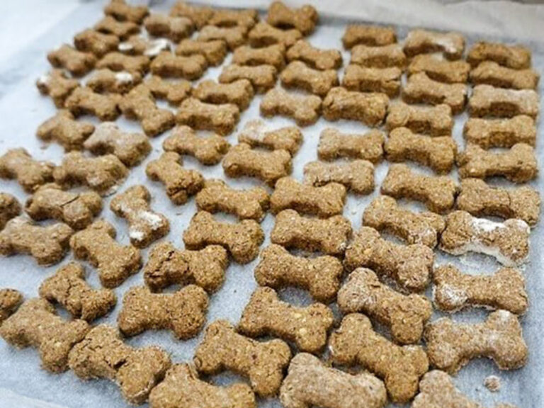 Dog biscuits