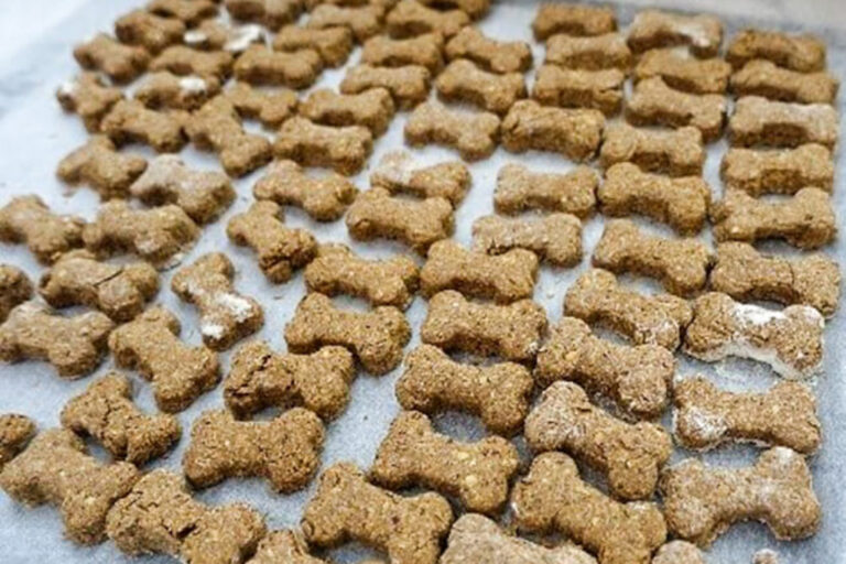 Dog biscuits