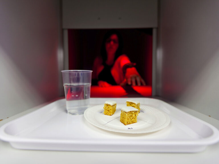 Person undergoing food sensory evaluation - Cake and water on plate