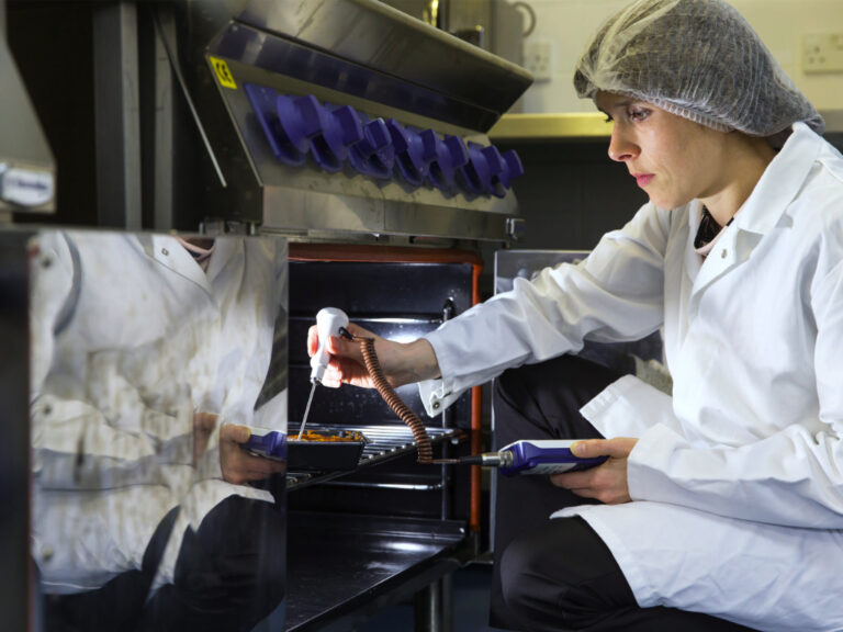 Lady checking thermal temperature of industrial oven