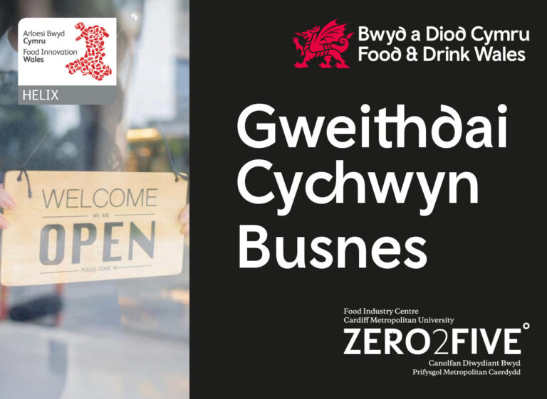 Start-up Workshop Poster ZERO2FIVE Cymraeg / Welsh