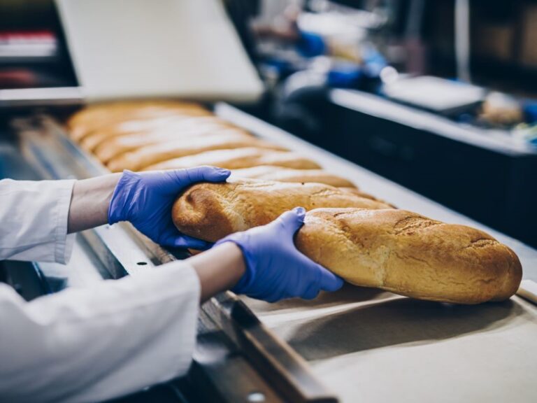 Bread rolls on a factory production line