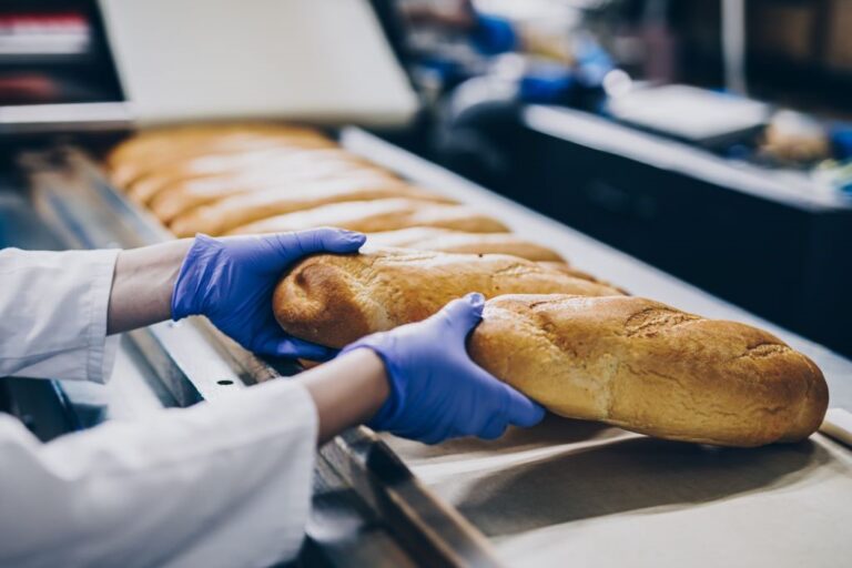 Bread rolls on a factory production line
