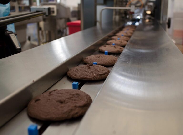 Biscuits on a production line