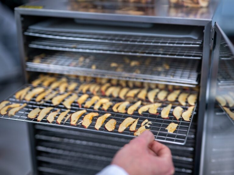 Apple slices in a dehydrator