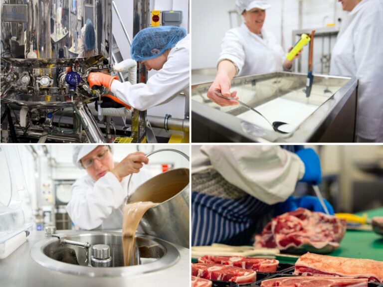 Collage of food production workers