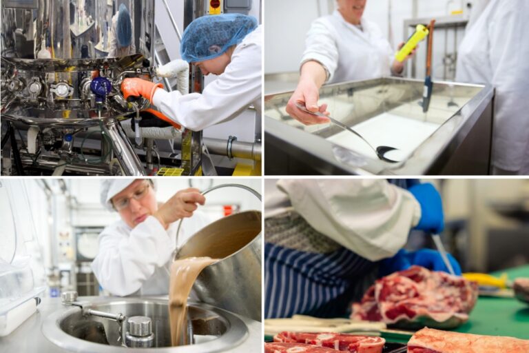 Collage of food production workers